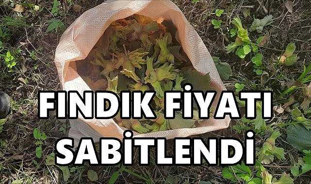 Fındık Fiyatı 120&#039;ye Sabitlendi!