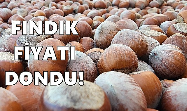 Fındık Fiyatı Dondu; Artış Beklenmiyor!