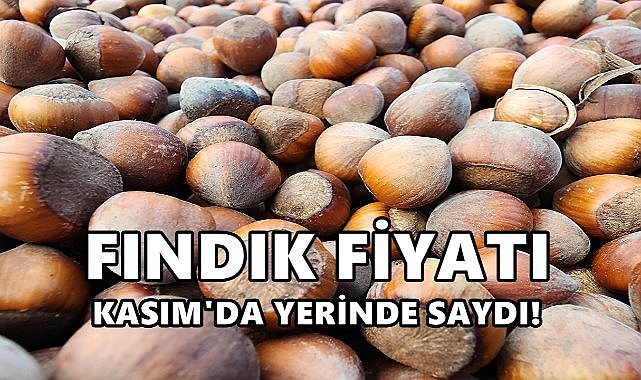Fındık Fiyatı Kasım&#039;da Sabit Kaldı