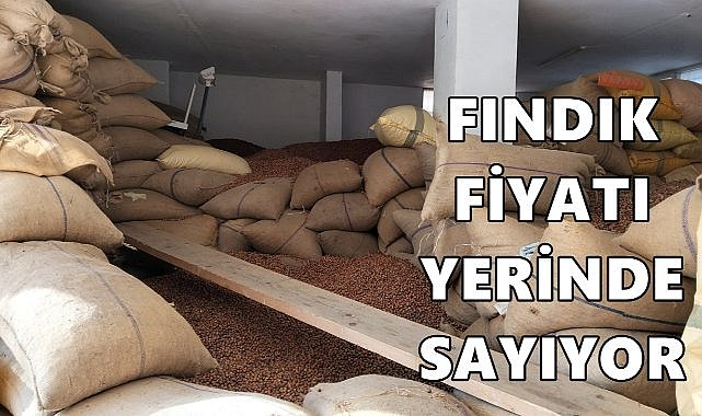 Fındık Fiyatı Yerinde Sayıyor