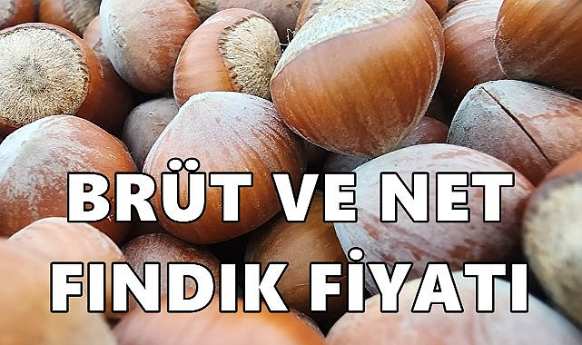 Fındık Fiyatında Brüt ve Net Arasındaki Fark!