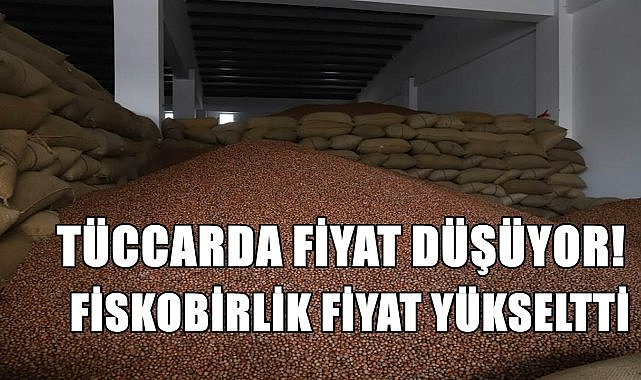 Fındık Fiyatının Yükselmesi Durdu; Fiskorbirlik Yeni Fındık Fiyatı Açıkladı