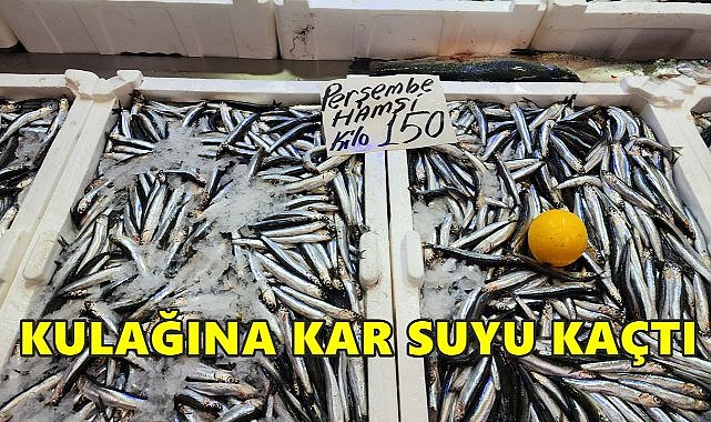 Hamsinin Kulağına Kar Suyu Kaçtı; Fiyatı Uçtu