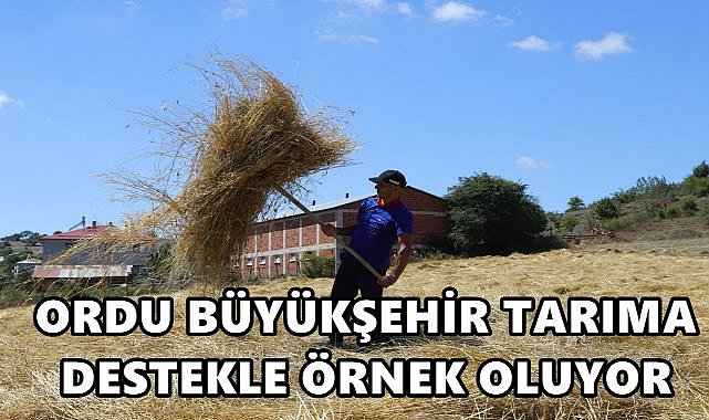 Ordu&#039;da Atıl Araziler Tarıma Kazandırıldı