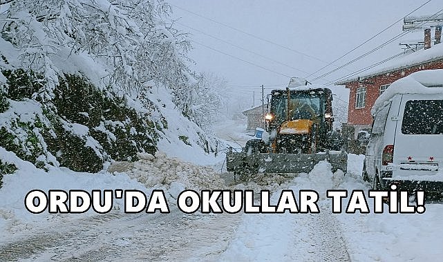 Ordu&#039;da Okullar Tatil; Kar Yağışı Etkisini Gösterdi