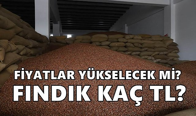 Ordu&#039;da Randımana Göre Fındık Fiyatı Kaç TL?
