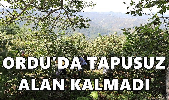 Ordu&#039;da Tapusuz Alan Kalmadı!