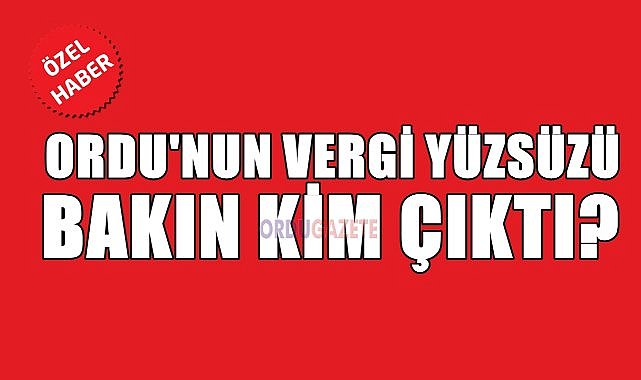 Ordu&#039;nun Vergi Yüzsüzü Paravan Şirket Çıktı!