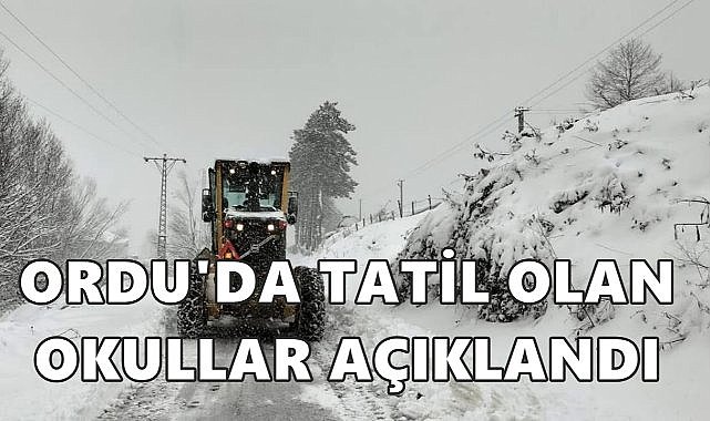 Ordu Valiliği Kar Nedeniyle Tatil Olan Okulları Açıkladı