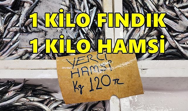 1 Kilo Fındık 1 Kilo Hamsi Alıyor