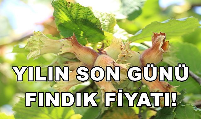 2024&#039;ün Son Günü Fındık Fiyatı