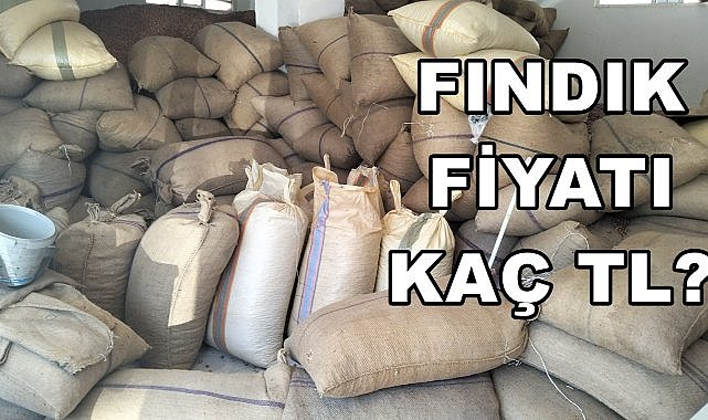 Fındık Fiyatı 29.12.2024