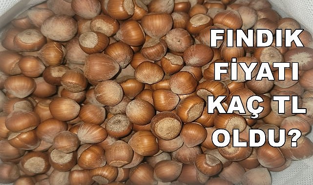Fındık Fiyatı 30.12.2024