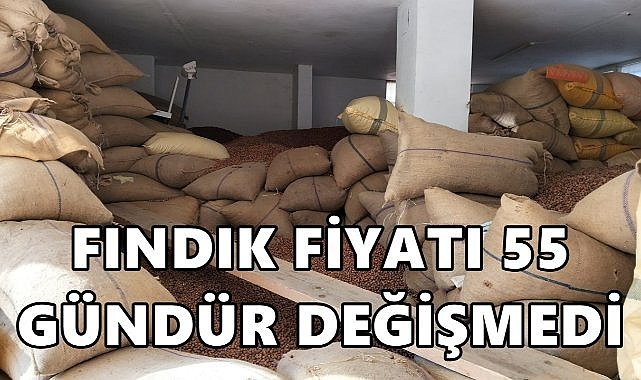 Fındık Fiyatı 55 Gündür Değişmedi!