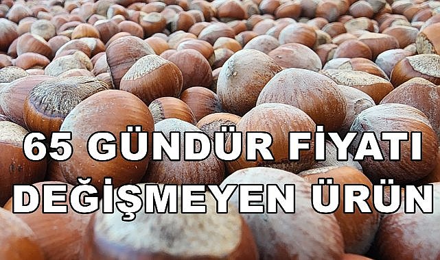 Fındık Fiyatı 65 gündür değişmiyor; Günün Fındık Fiyatı