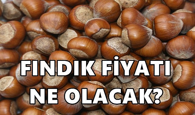 Fındık Fiyatı Aralık Ayının İlk Günü Güncellendi