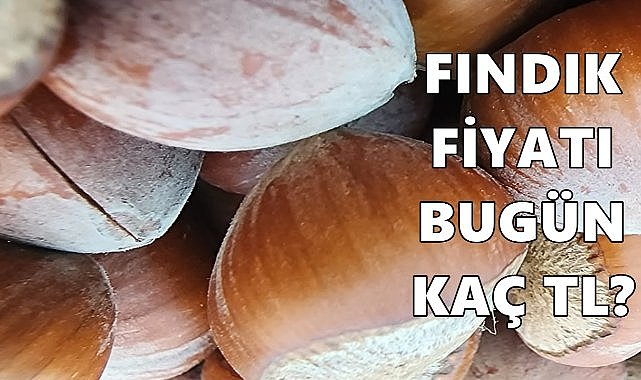 Fındık Fiyatı Durgun; Üreticiler Artış Bekliyor