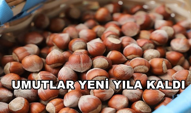 Fındık Fiyatında Umutlar Yeni Yıla Kaldı