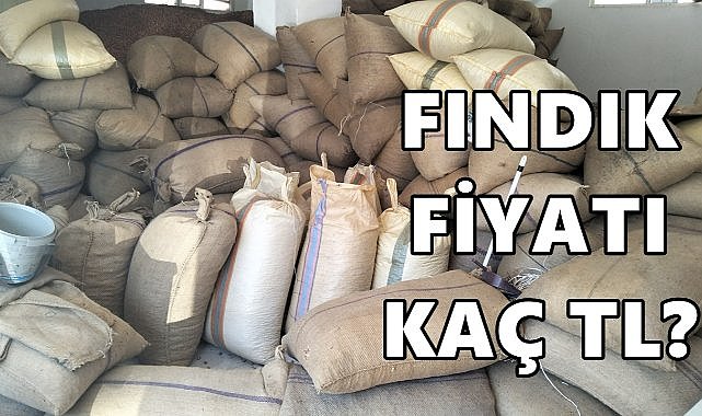 Fındık İçin İki Ayrı Fiyat; Randımanlı ve Randımansız