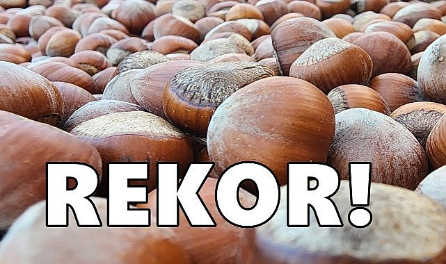 Fındık İhracatında Rekor; 3 Ayda 811.1 Milyon Dolar Gelir!