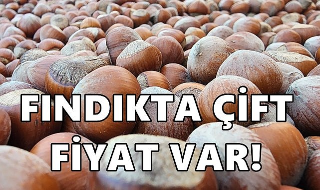 Fındık Piyasasında Çift Fiyat Uygulaması Devam Ediyor