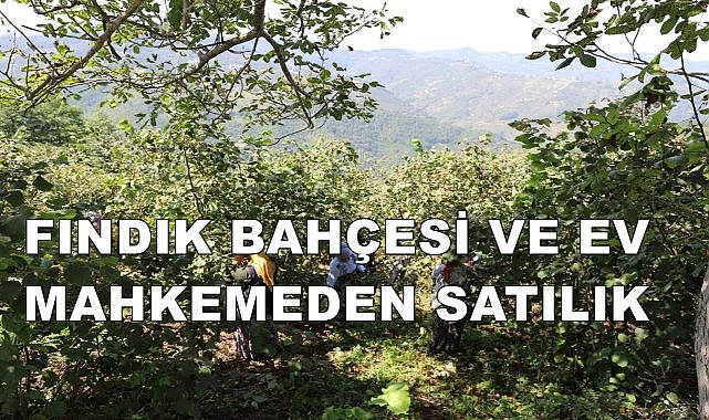 Gürgentepe&#039;de Mahkeme Fındık Bahçesi ve Evin Değerini Belirledi