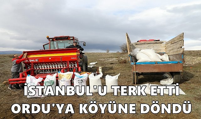 İstanbul&#039;dan Ordu&#039;da Köyüne Dönüp Tarıma Başladı