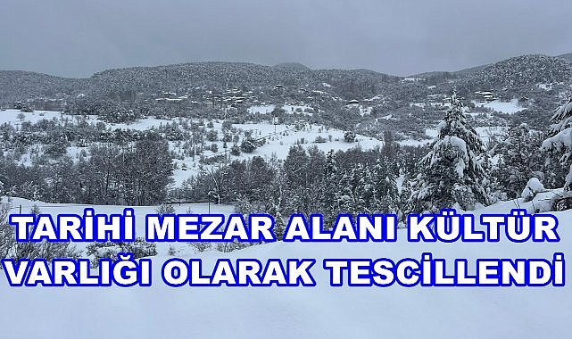 Mesudiye&#039;deki Tarihi Mezar Alanı Taşınmaz Kültür Varlığı Olarak Tescillendi