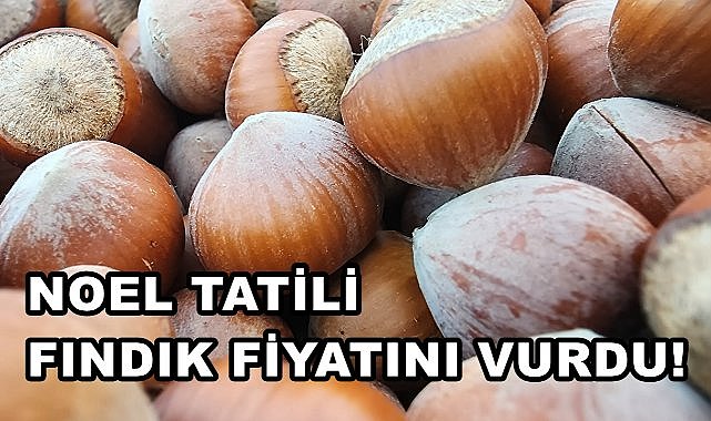 Noel Tatili Fındık Fiyatını Durdurdu!
