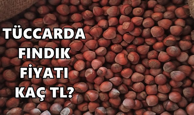 Ordu&#039;da Fındık Fiyatı 11.12.2024