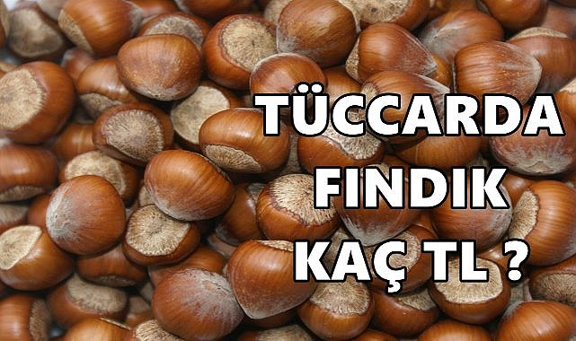 Ordu&#039;da Serbest Piyasada Fındık Fiyatları