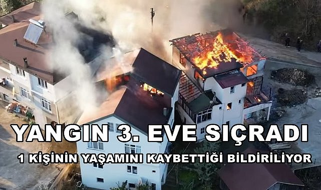 Ordu Perşembe&#039;de Bir Evde Başlayan Yangın Bitişik Evlere Sıçradı