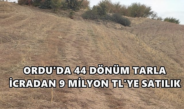 Ordu Ünye &#039;de  Mahkeme 44 Dönüm Tarla İçin 9 Milyon Değer Biçti!