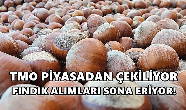 TMO Piyasadan Çekiliyor, Fındık Alımları Sona Eriyor!