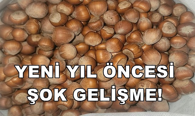 Yeni Yıl Öncesi Fındık Fiyatlarında Şok!