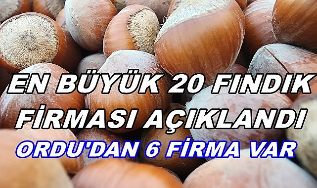 En Büyük 20 Fındık Firması Açıklandı; Ordu&#039;dan 6 Firma Var
