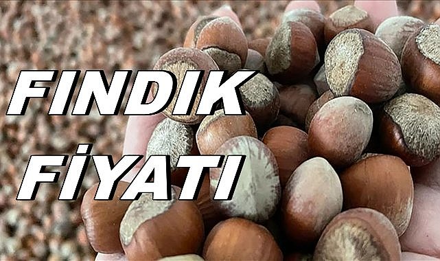 Fındık Fiyatı 13.01.2024