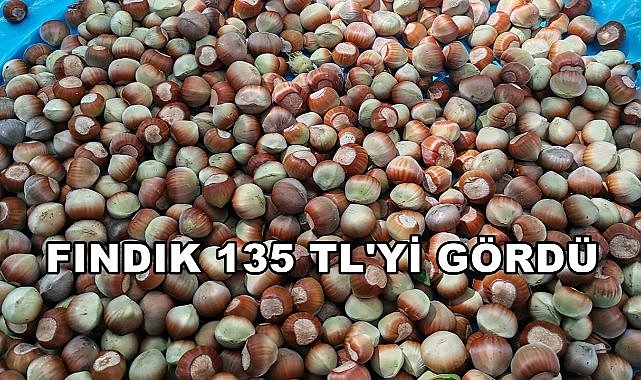Fındık Fiyatı 2025&#039;te 135 TL&#039;yi Gördü!