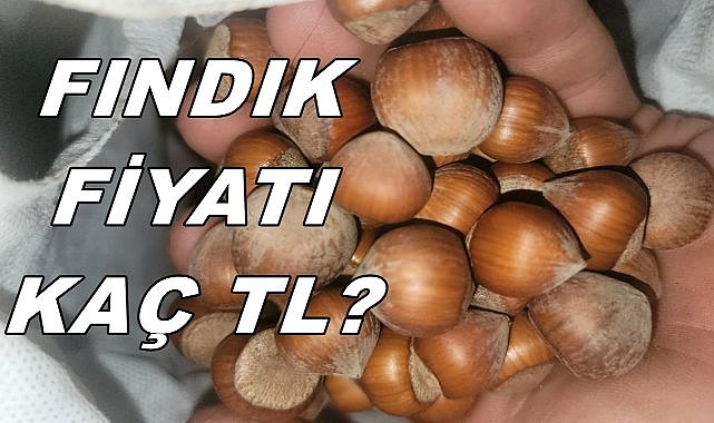 Fındık Fiyatı 21 Ocak Salı 2025