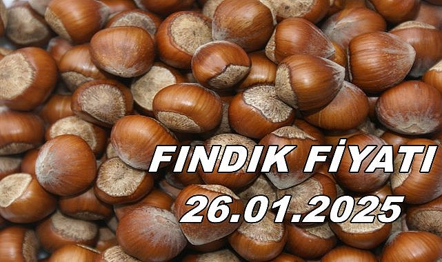 Fındık Fiyatı 26 Ocak 2025 Pazar