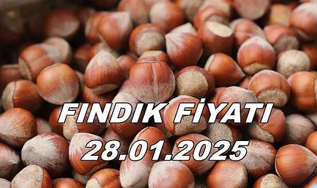 Fındık Fiyatı 28.01.2025 Salı