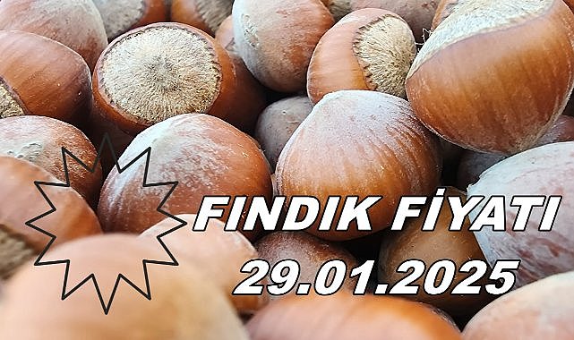 Fındık Fiyatı 29 Ocak Çarşamba
