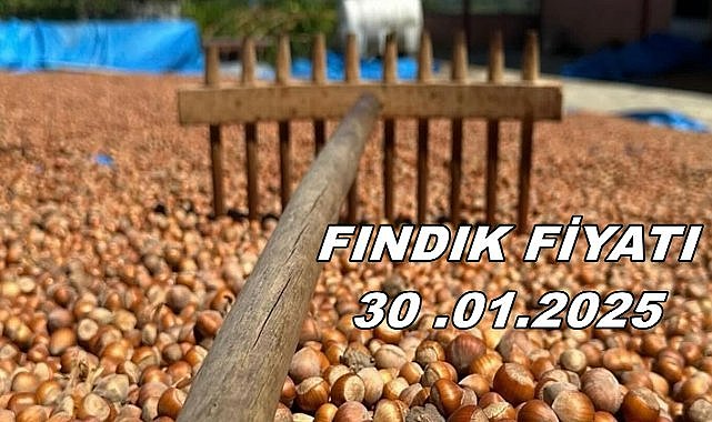 Fındık Fiyatı 30 Ocak Perşembe 2025
