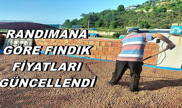 Fındık Fiyatı Yükseldi; Randımana Göre Fındık Fiyatı Güncellendi