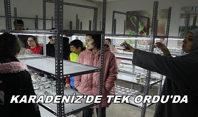Karadeniz&#039;de İlk Ordu&#039;da Kuruldu; Trabzon, Samsun, Giresun, Rize&#039;de Yok!