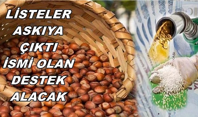 Listeler Askıya Çıktı; Fındık Üreticisi Para Alacak
