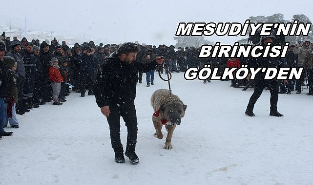 Mesudiye&#039;de Düzenlenen Kar Şenliğinin Şampiyonu Gölköy&#039;den Çıktı
