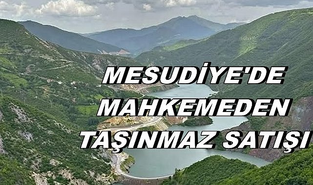 Mesudiye&#039;de Satışa Çıkartılan Tarlalar İçin İhale Süreci Başlıyor