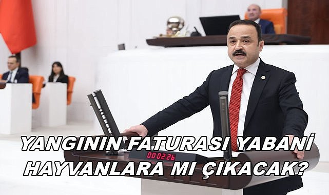 Milletvekili Şanltürk Otel Yangını İle İlgili Konuştu; Faturayı Yaban Hayvanlarına mı Keseceğiz
