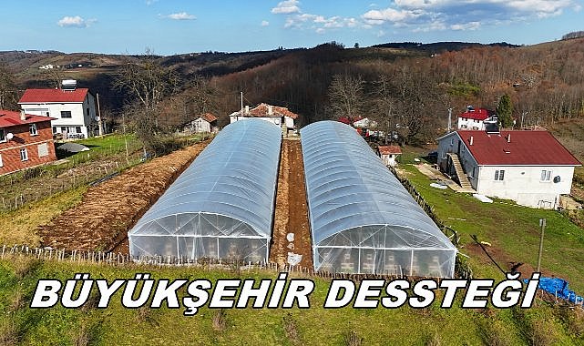 Ordu'da Büyükşehir'den Tarıma Büyük Destek!